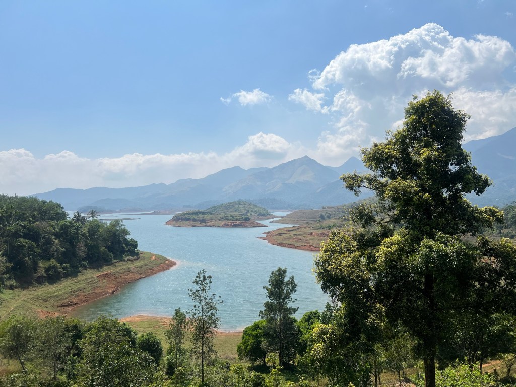 Finding Home in Motion.