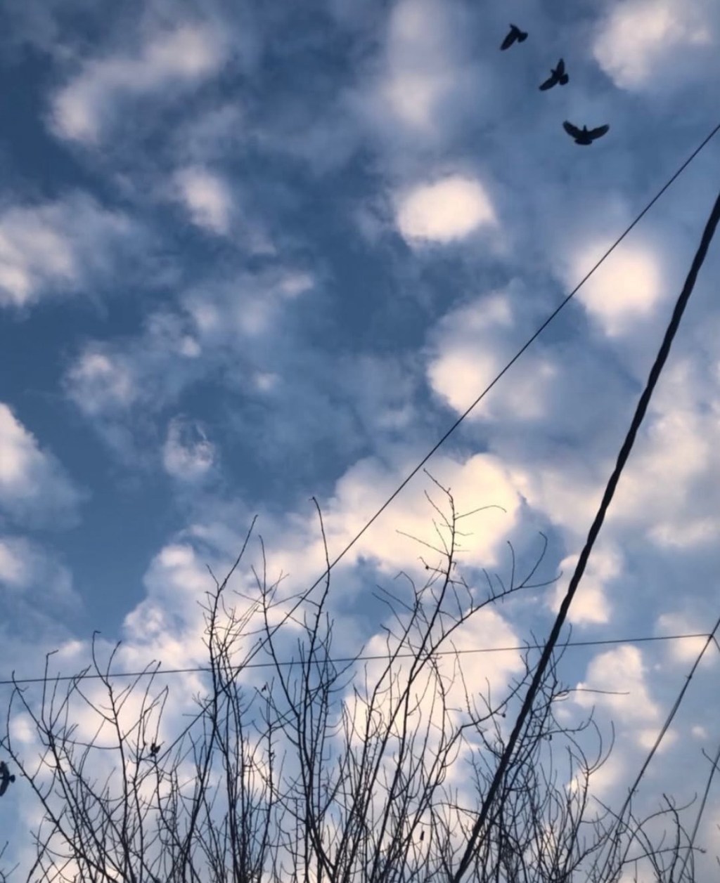 Something’s missing today