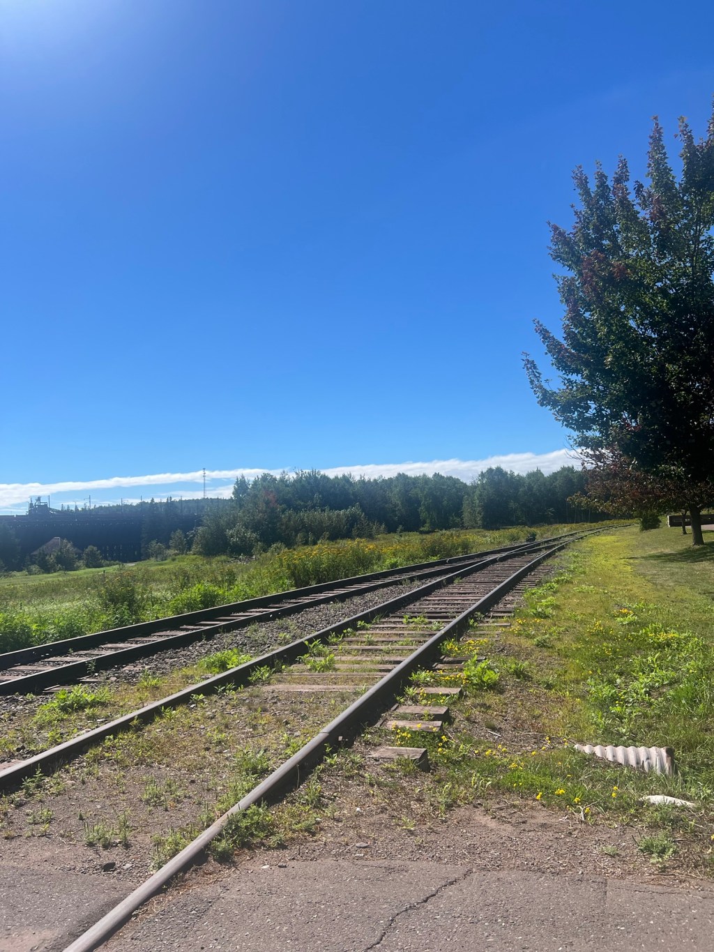 A lagging Indicator.